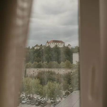 Paka Velenje
